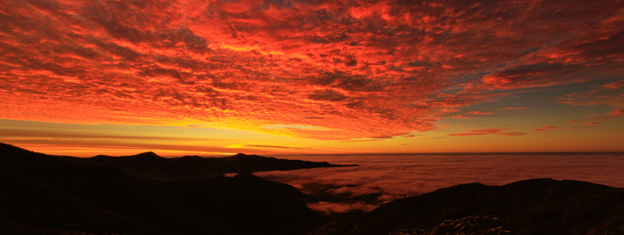 A full cloud inversion at sunrise seen from the Craggy Gardens Visitor Center, with the valleys filled with cloud and the Great Craggy Mountains rising above it
