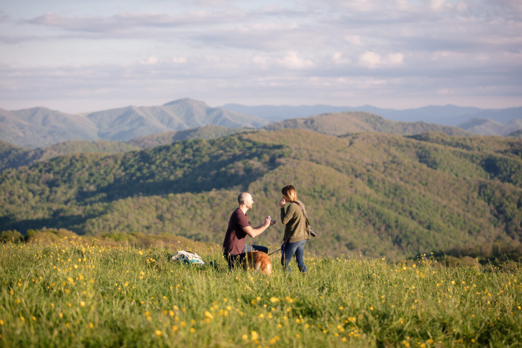 Cody down on one knee with long range view from Max Patch in the background. Cody is proposing in a field of yellow wildflowers 