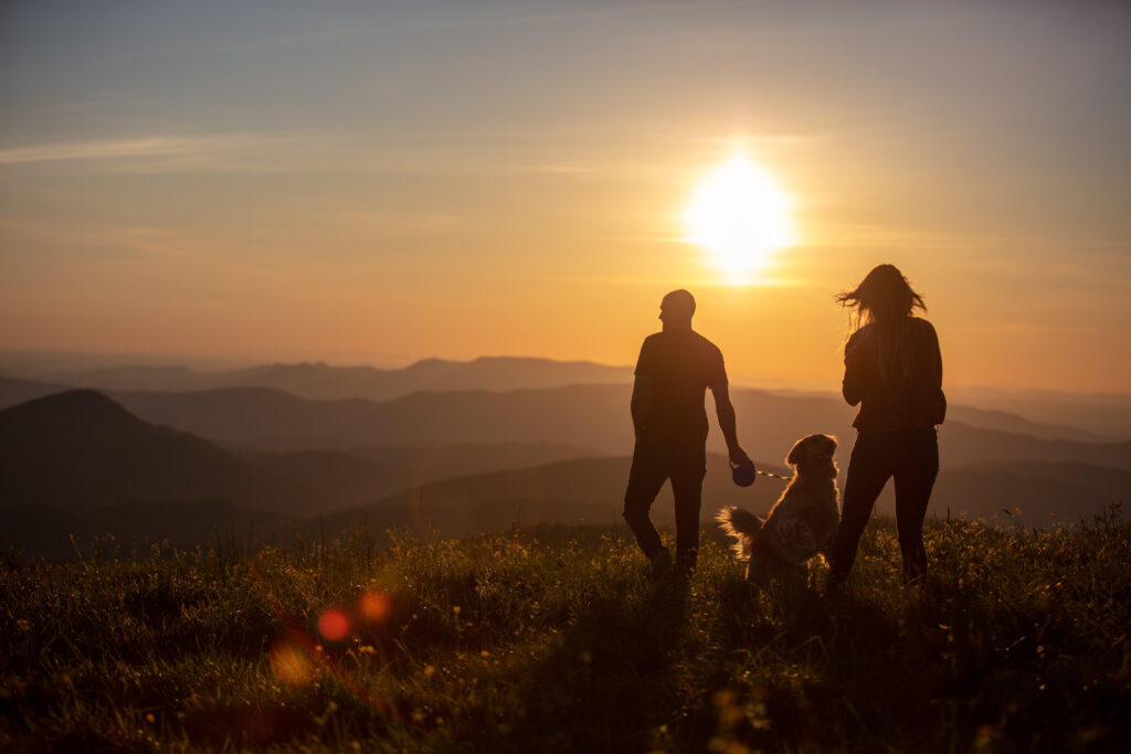 The newly engaged couple walking into the sunset with their golden retriever on top of max patch. 