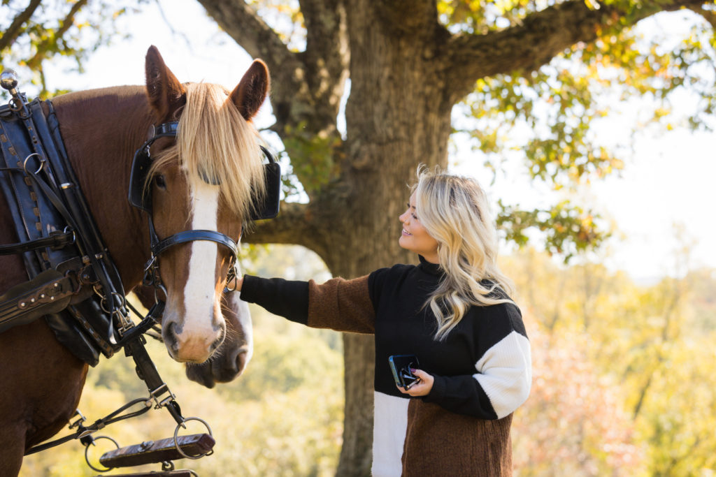 Stuart & Cori Biltmore Horse Proposal - Cori is petting one of the draft horses