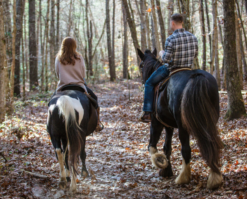 Two horse being ridden on a private trail ride at Biltmore estate for a Horseback Riding Proposal