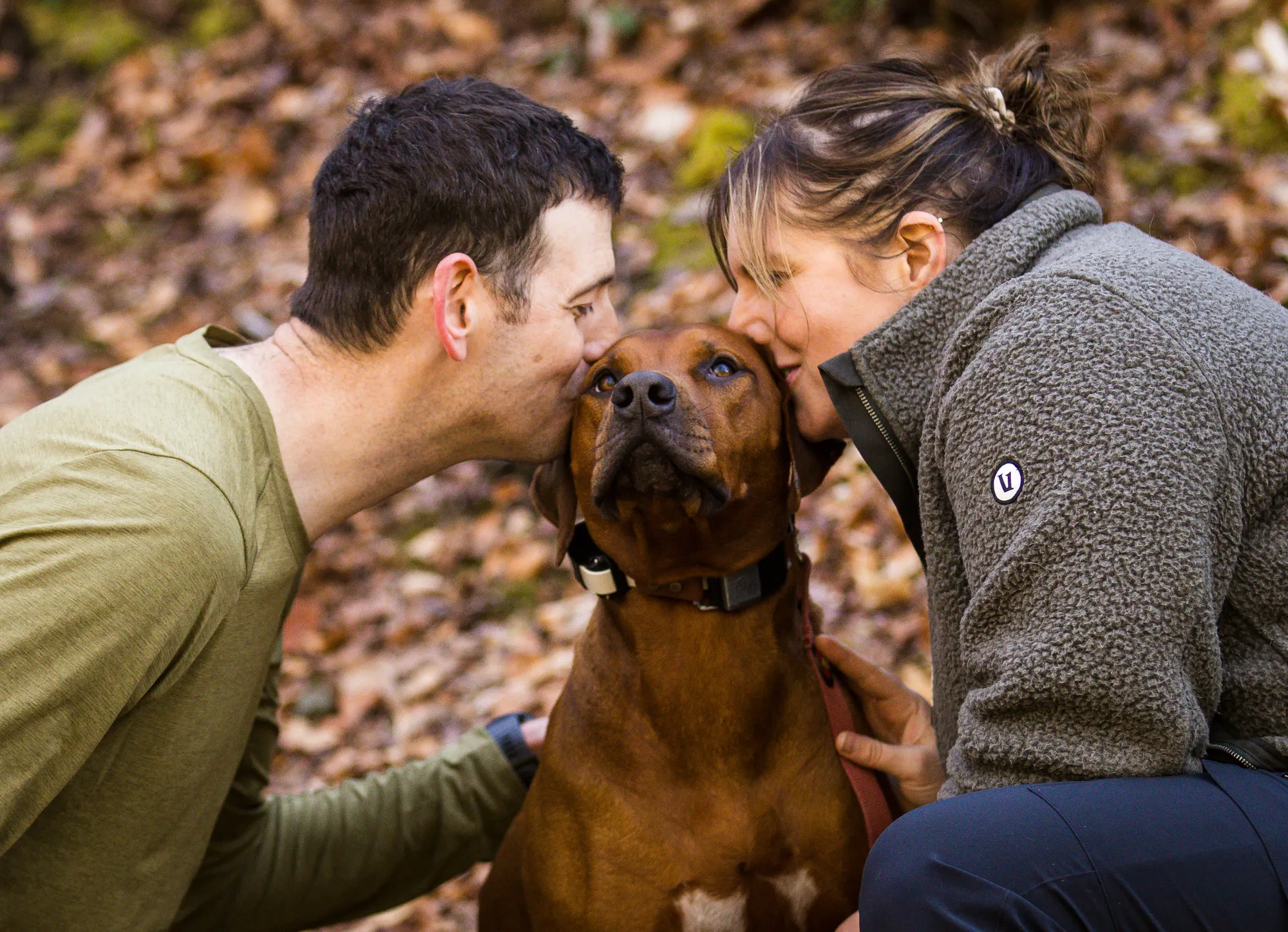 Couple kissing their hound during fall engagement photos, DuPont State Forest
