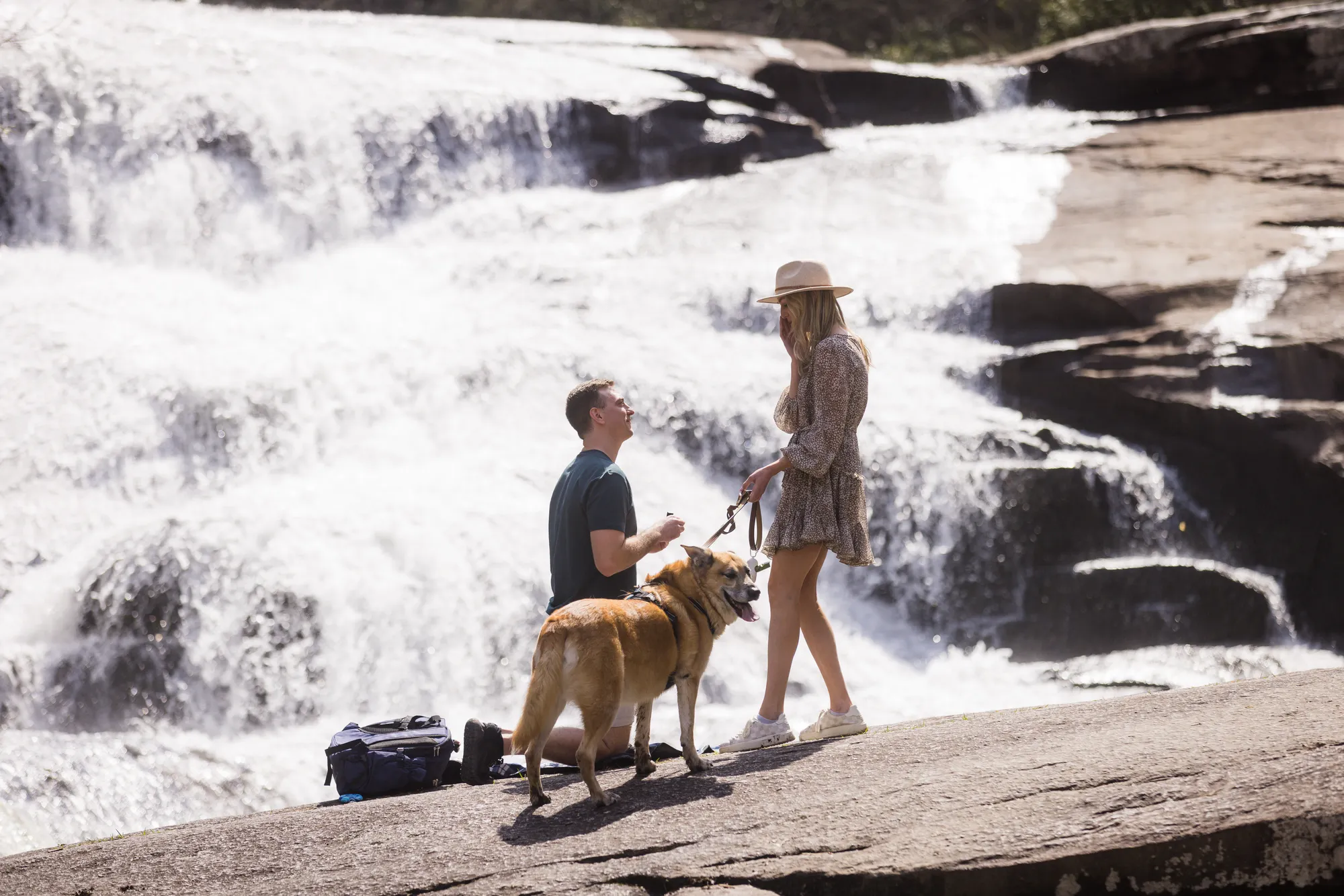 Proposal at a DuPont waterfall with the couple's golden dog on leash