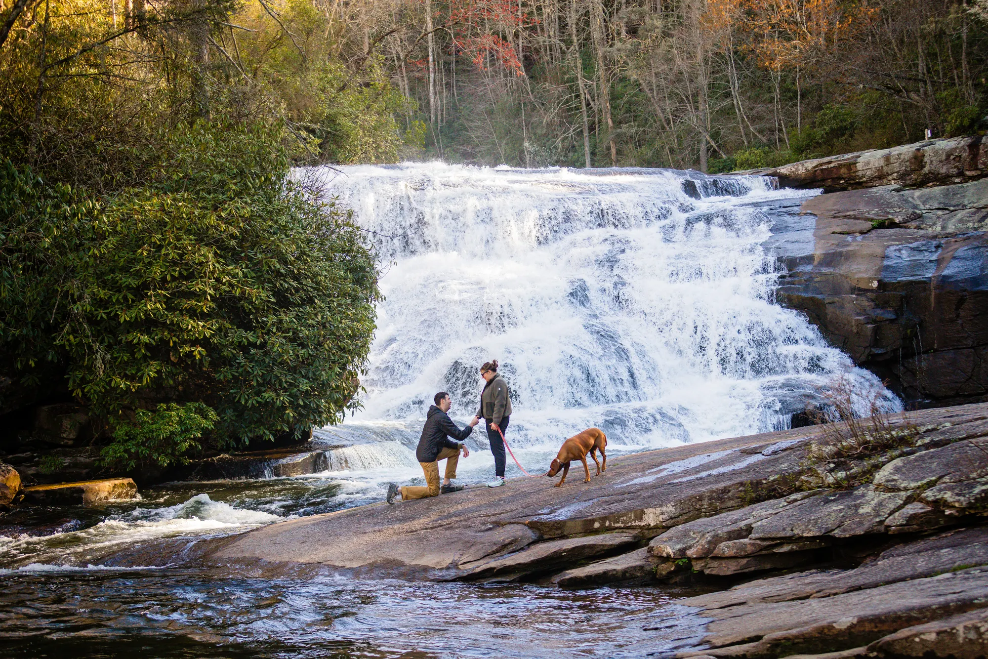 Newly engaged couple with their dog at Triple Falls, DuPont NC