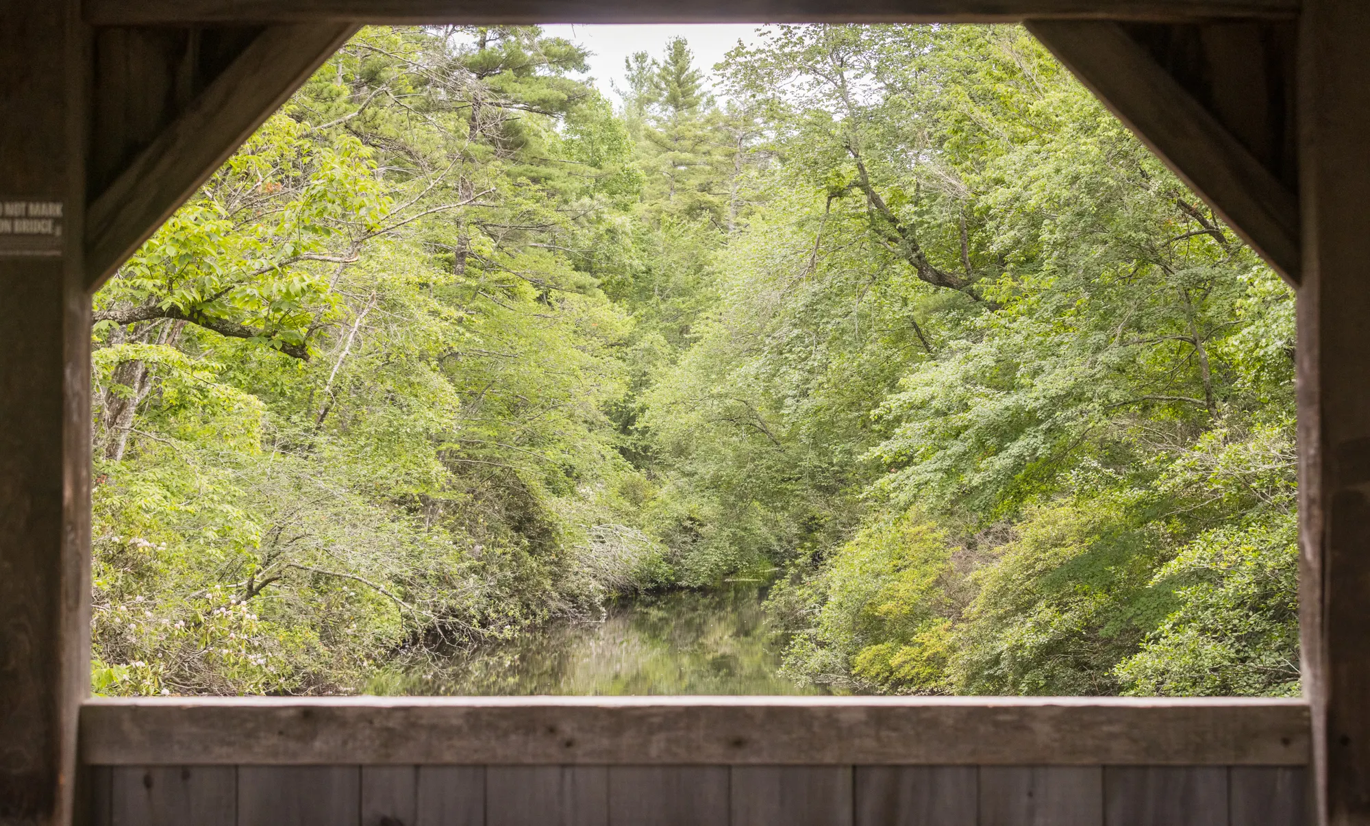 View of the Little River through the covered bridge opening, DuPont State Forest