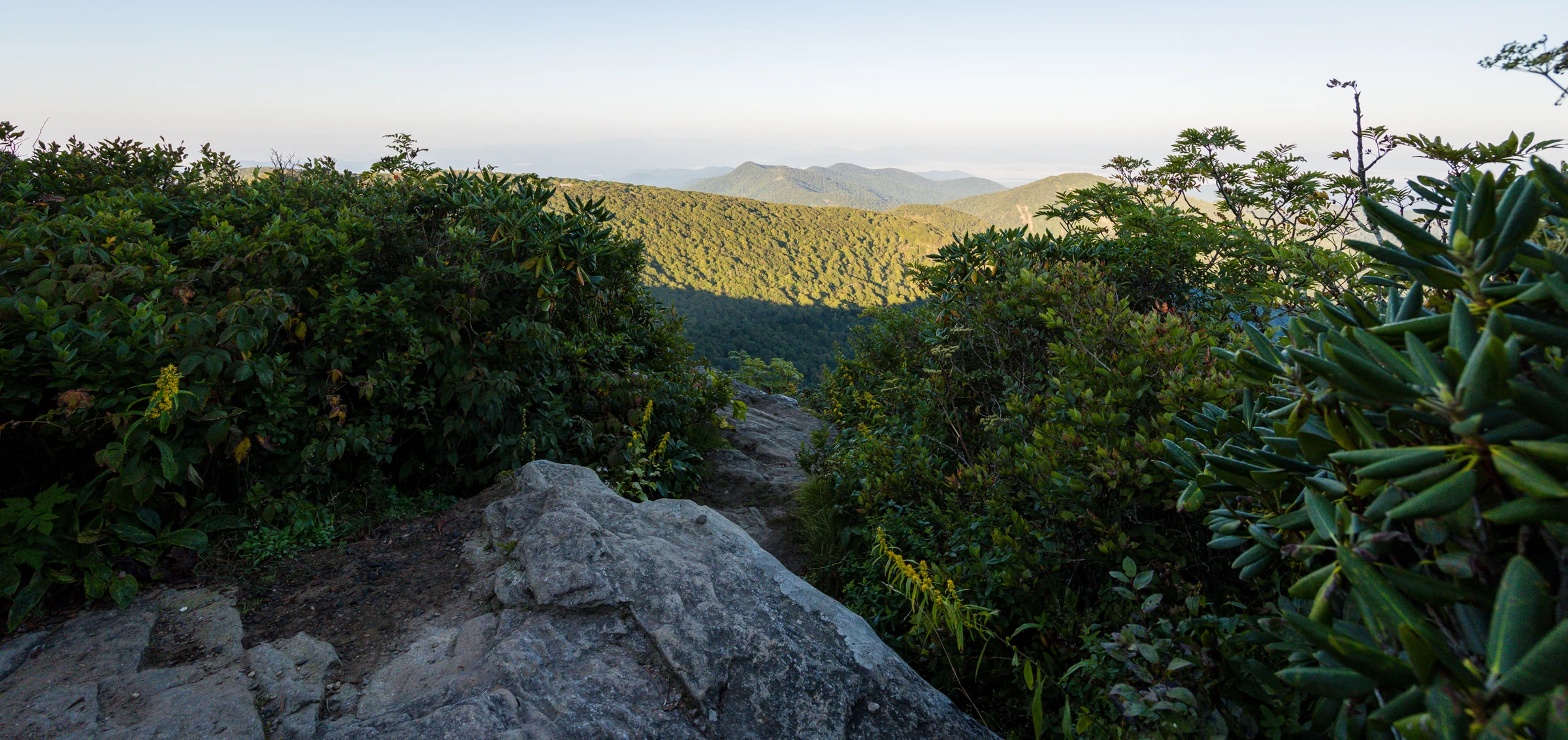 A small opening between rhododendron and blueberry shrubs frames a west-facing mountain view from the ledge on Craggy Pinnacle