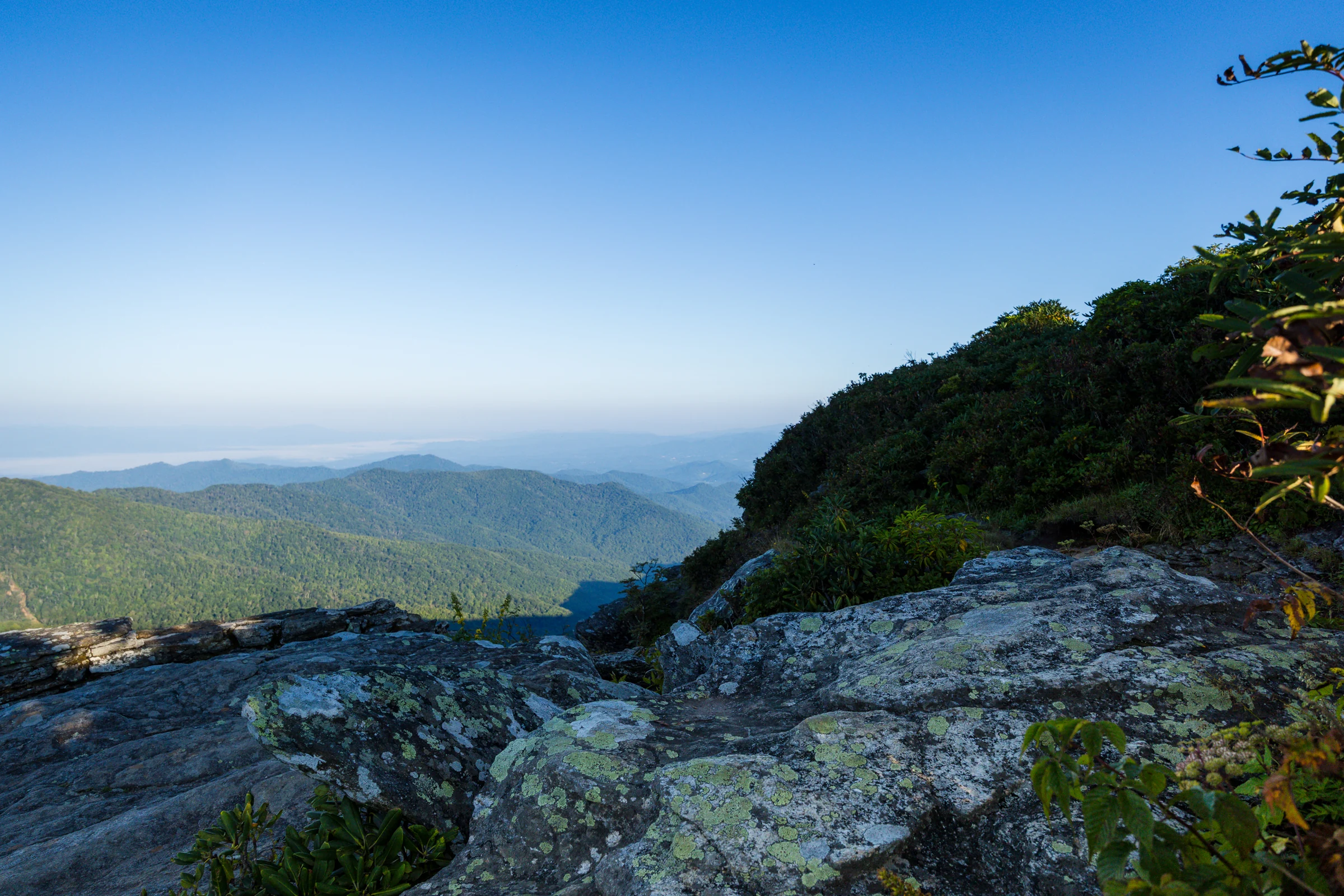 The rock ledge on the west side of Craggy Pinnacle seen from the side, with rhododendron and blueberry framing the view