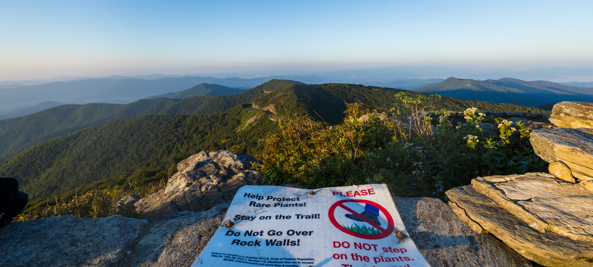 A Park Service sign on the Craggy Pinnacle summit asking visitors to stay on the trail to protect rare high-elevation plants